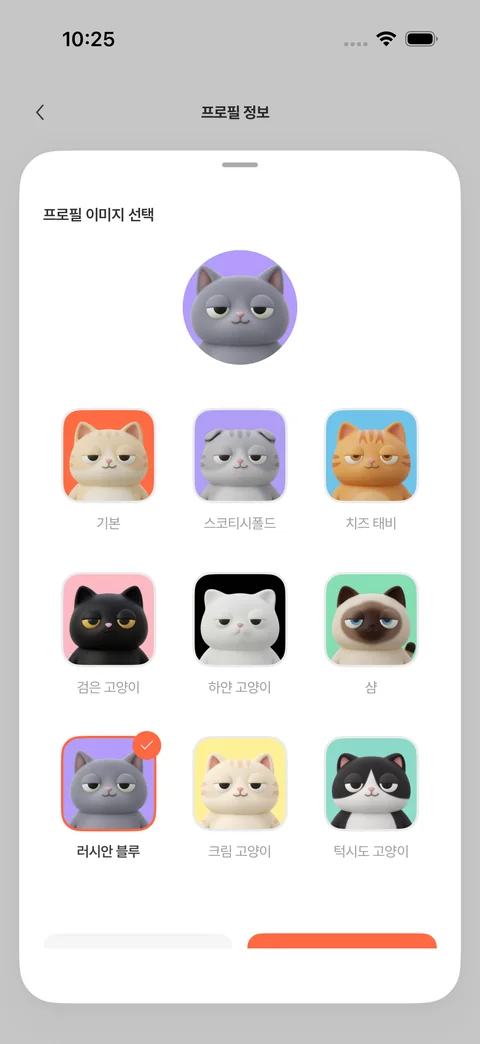 iPhone · 아홉 고양이 중 프로필 선택